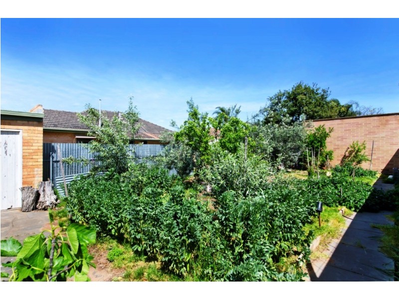 34 Gardner Street, Plympton SA 5038