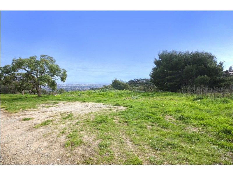 67 Woodland Way, Teringie SA 5072