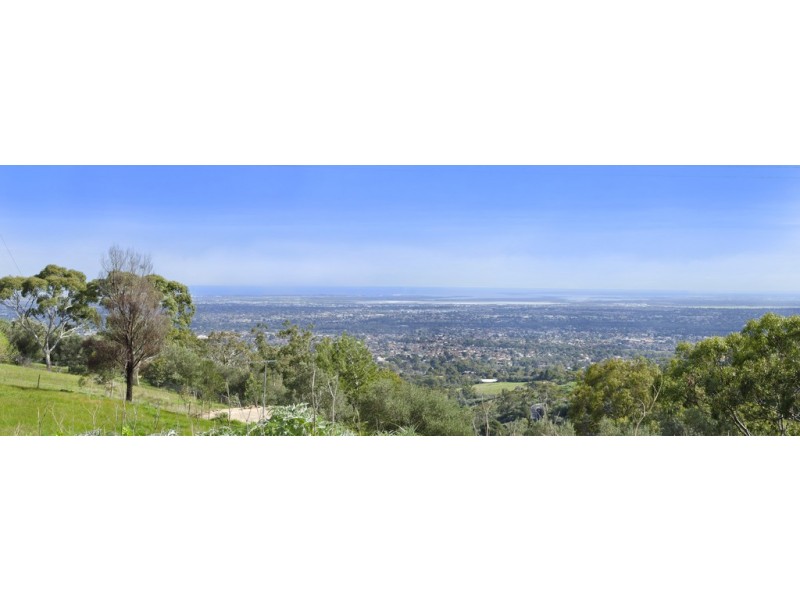 67 Woodland Way, Teringie SA 5072