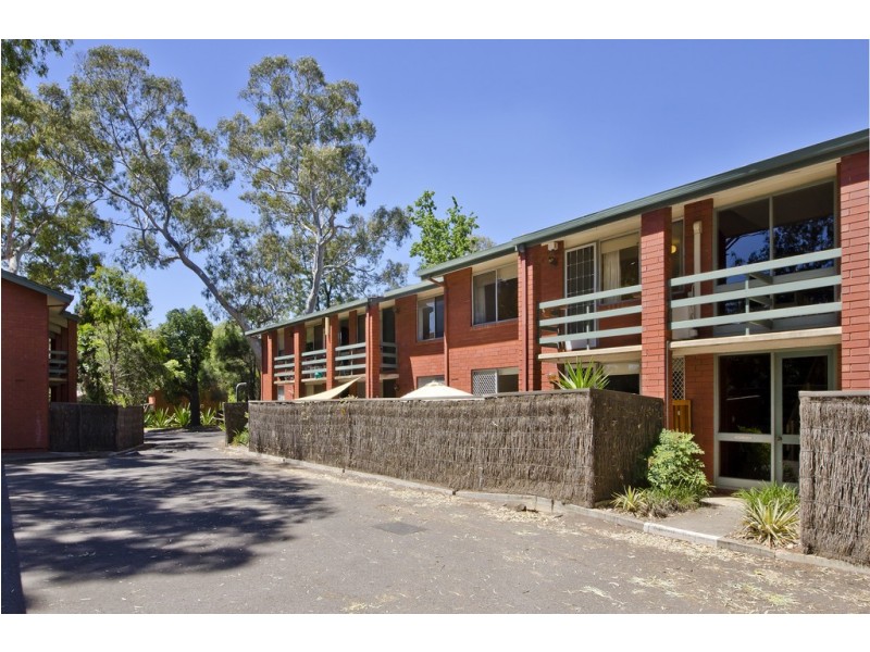 31/62 William Street, Norwood SA 5067