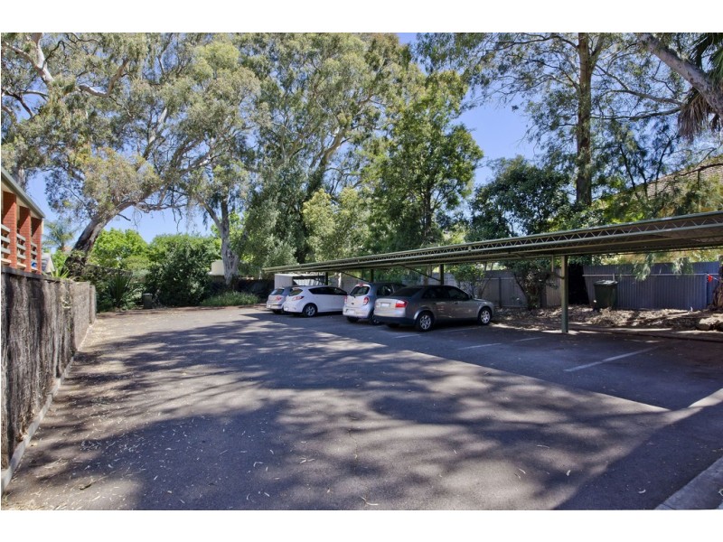 31/62 William Street, Norwood SA 5067