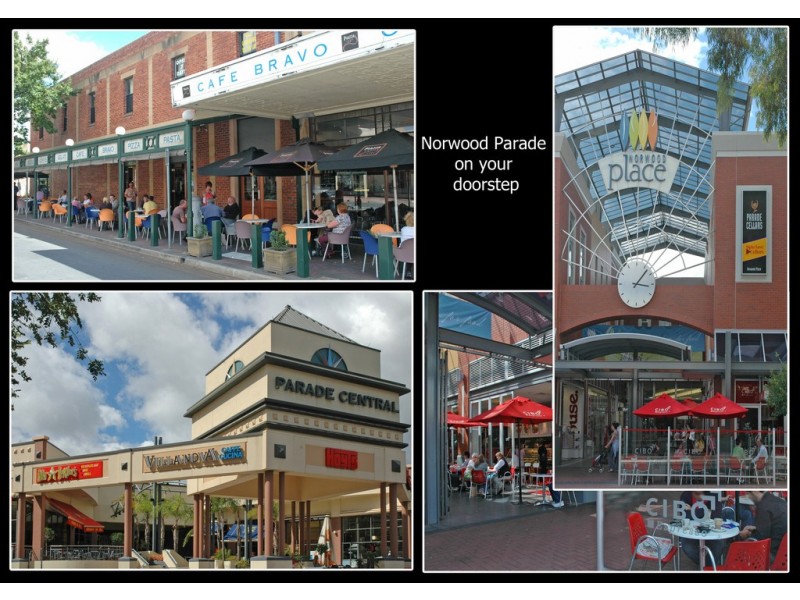 31/62 William Street, Norwood SA 5067