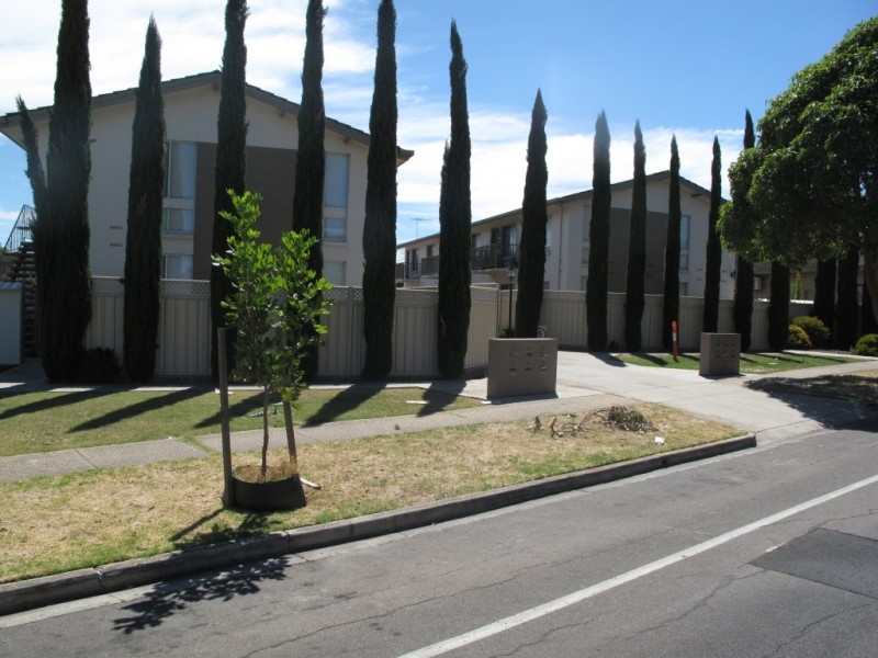 8/3 Church Road, Paradise SA 5075