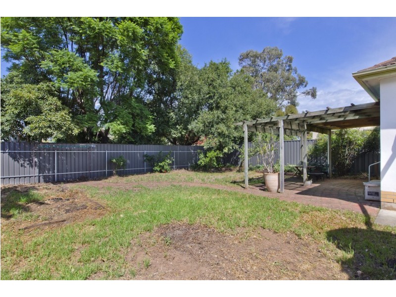 77 Morgan Avenue, Daw Park SA 5041