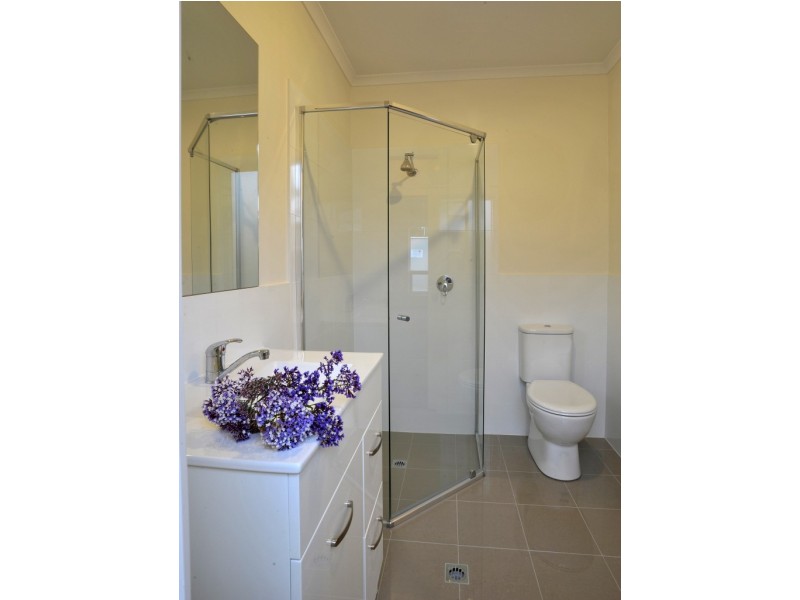 59 Australian Avenue, Clovelly Park SA 5042