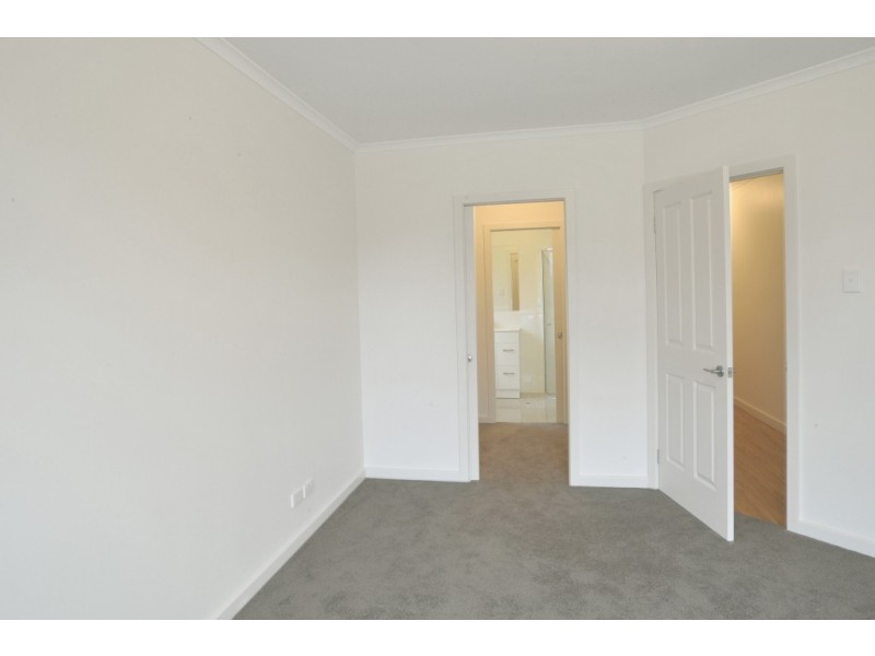 59 Australian Avenue, Clovelly Park SA 5042