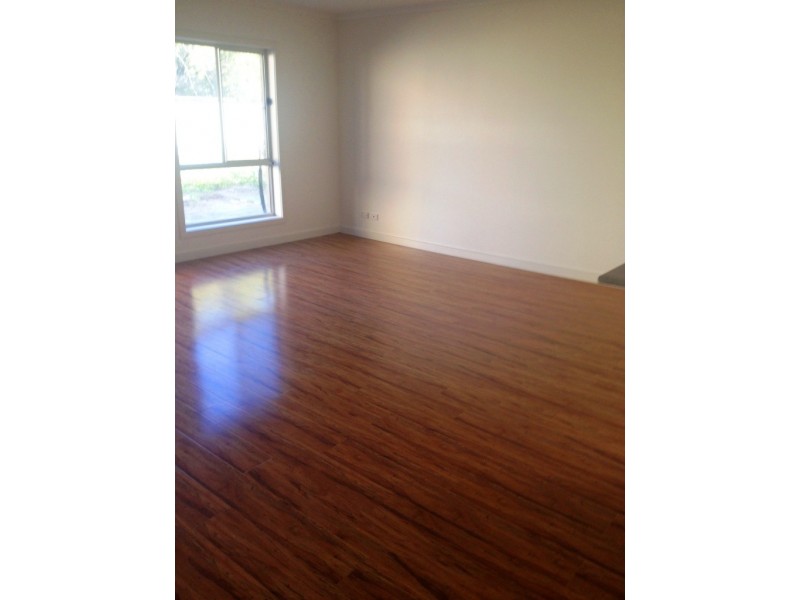 59 Australian Avenue, Clovelly Park SA 5042