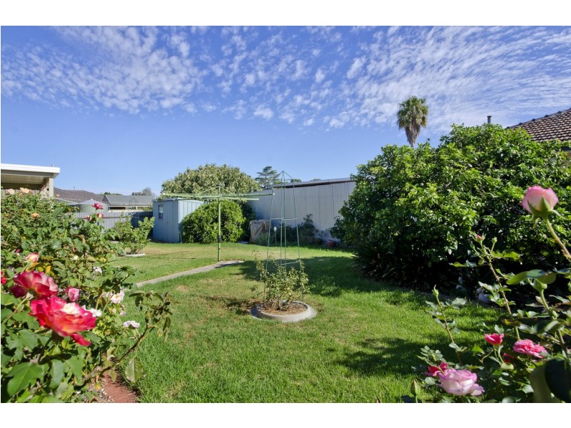 24 Kingston Avenue, Daw Park SA 5041