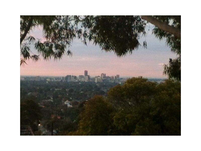 15 Gamma Cresent, Panorama SA 5041