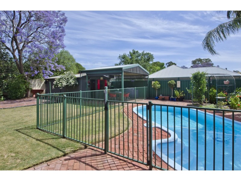 42 Hill Avenue, Cumberland Park SA 5041