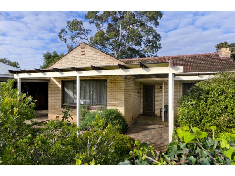 51 Morgan Avenue, Daw Park SA 5041