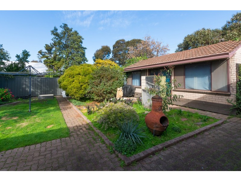 51 Morgan Avenue, Daw Park SA 5041