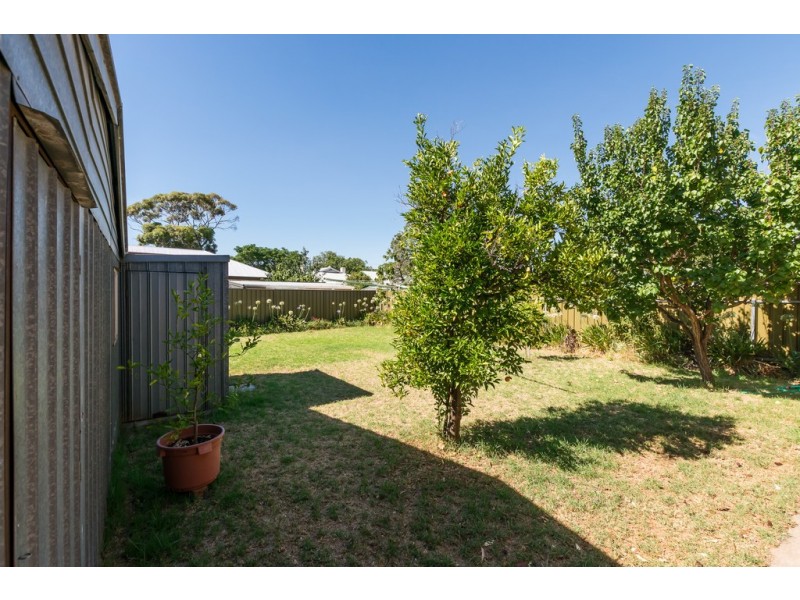 46 Rozells Avenue, Colonel Light Gardens SA 5041
