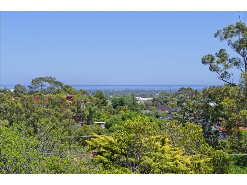 7 Bain Street, Pasadena SA 5042