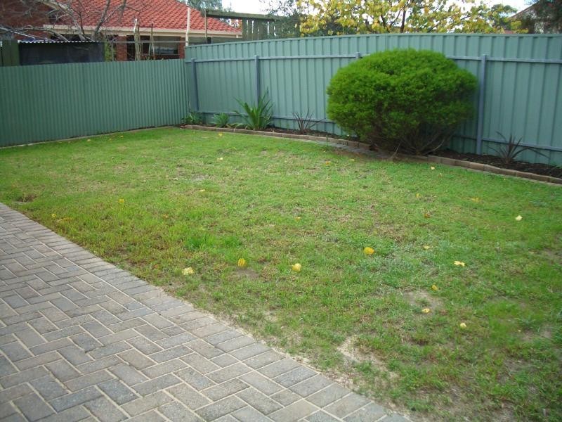 3a Aveston Avenue, Athelstone SA 5076