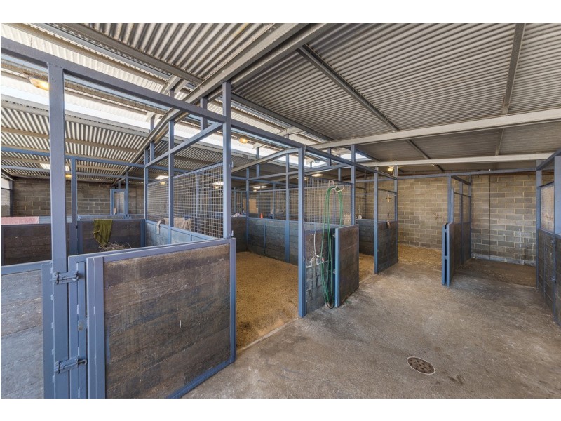 8 Austral Terrace, Morphettville SA 5043