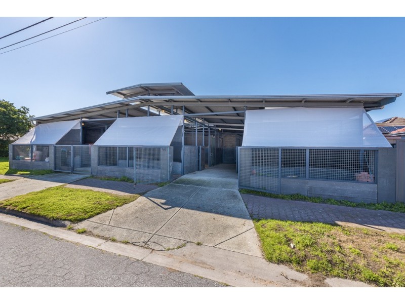 8 Austral Terrace, Morphettville SA 5043