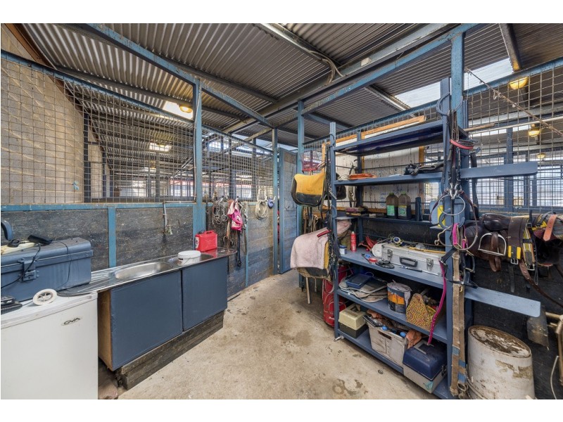 8 Austral Terrace, Morphettville SA 5043