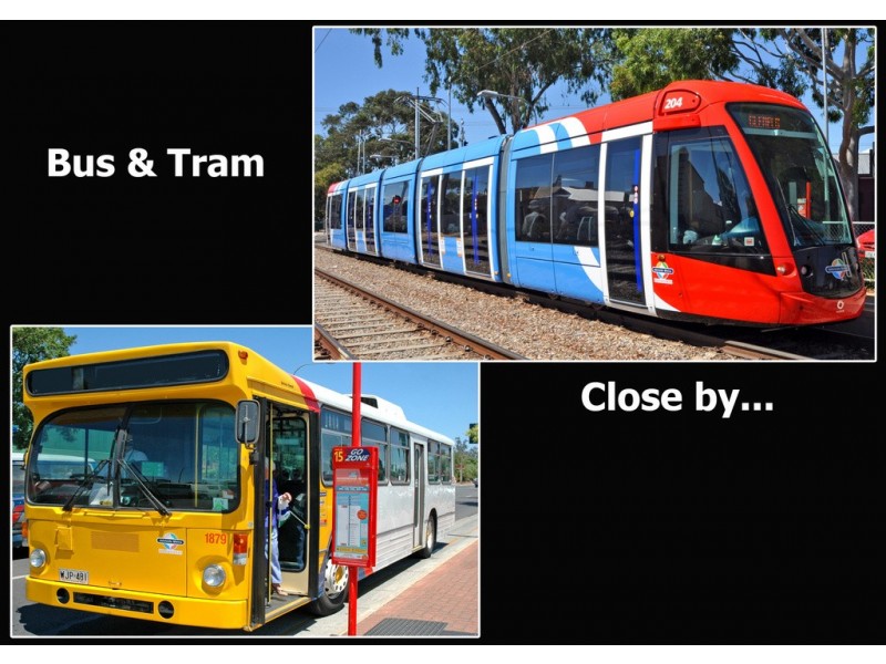 8 Austral Terrace, Morphettville SA 5043