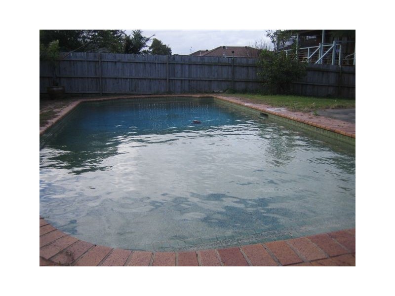 56 IDALINE STREET, Collaroy NSW 2097