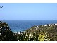55 Plateau Road, Avalon NSW 2107