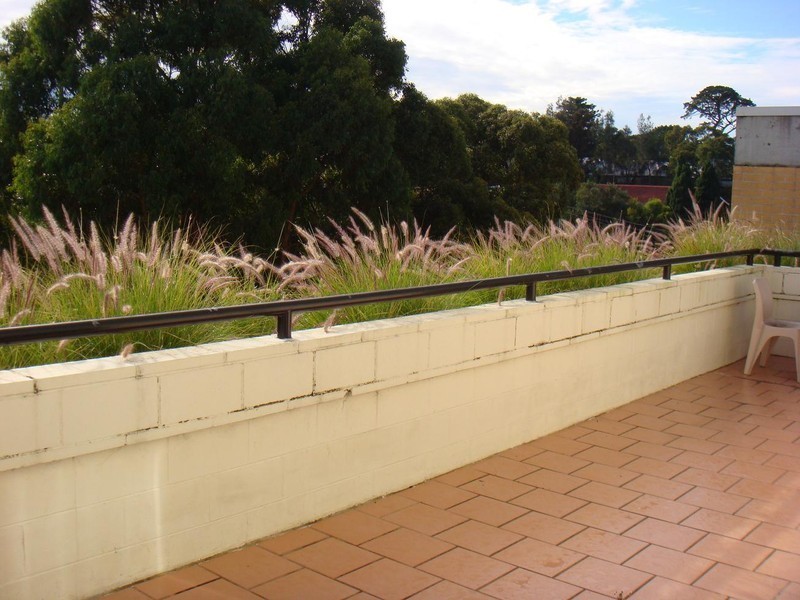10/13-15 FRANCIS STREET, Dee Why NSW 2099