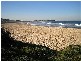 8/73 DEE WHY PARADE, Dee Why NSW 2099