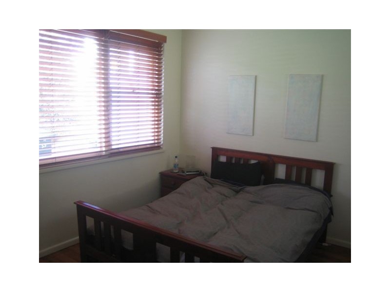 55 WYADRA AVENUE, Freshwater NSW 2096