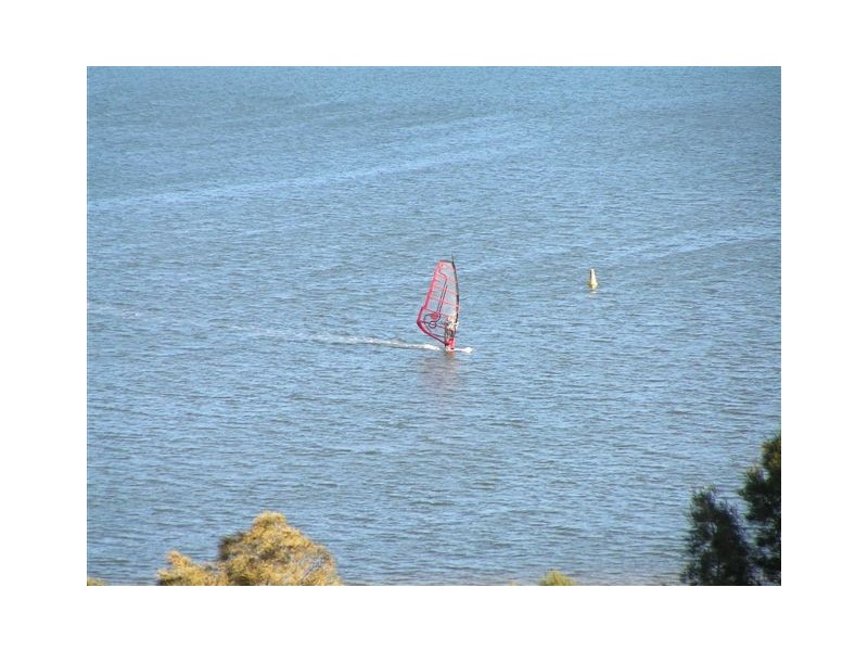 16 CAREFREE ROAD, North Narrabeen NSW 2101