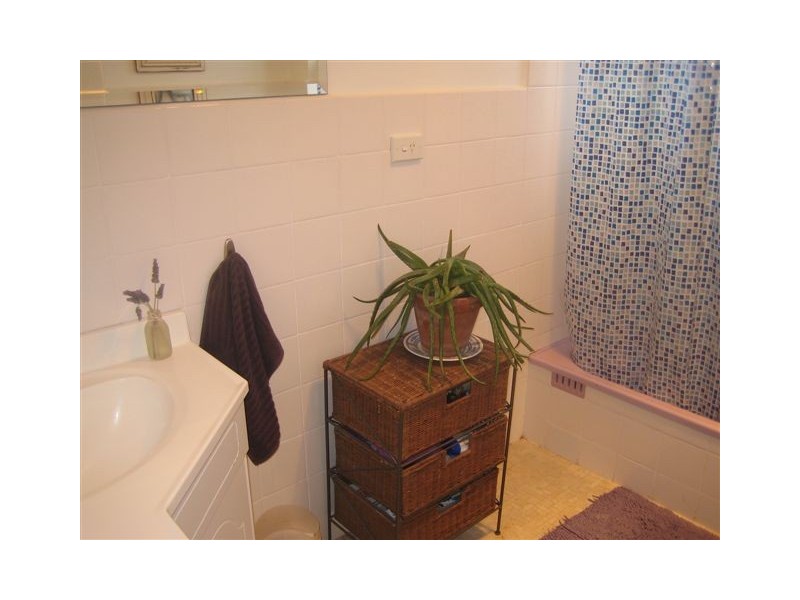 10/25 WAINE STREET, Freshwater NSW 2096