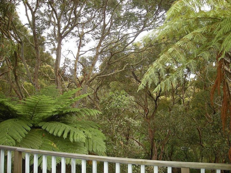 46 BINALONG AVENUE, Allambie Heights NSW 2100