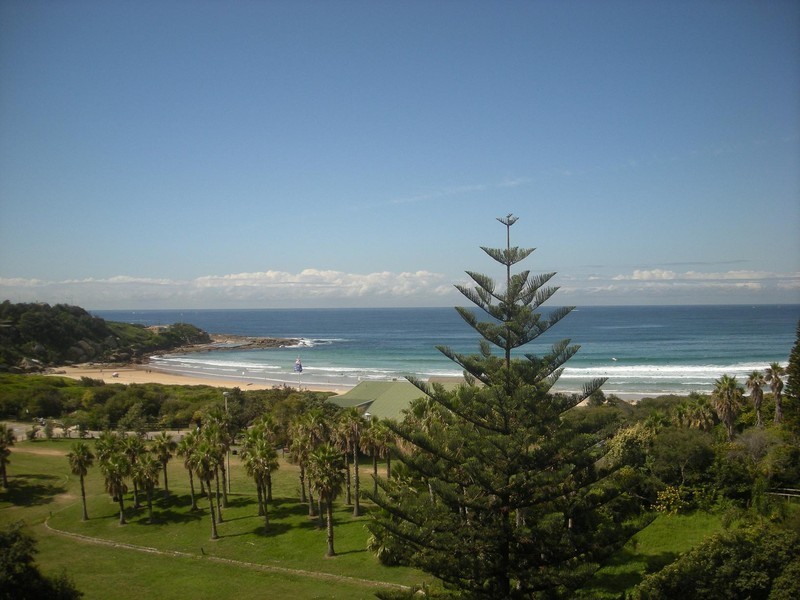 52/30 MOORE ROAD, Freshwater NSW 2096