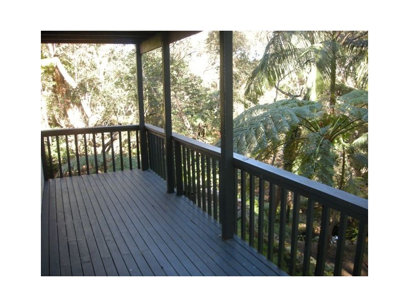 LOWER 55 GOONDARI ROAD, Allambie Heights NSW 2100