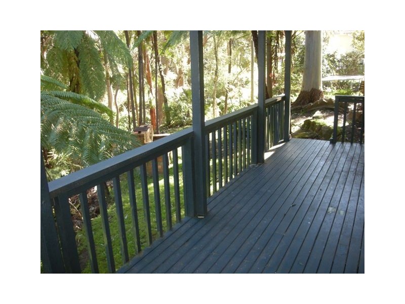 LOWER 55 GOONDARI ROAD, Allambie Heights NSW 2100