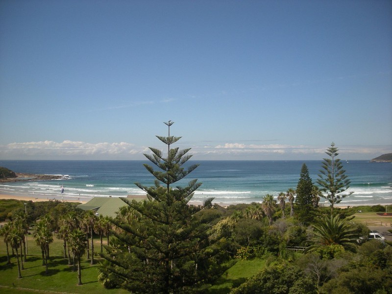 56/30 MOORE ROAD, Freshwater NSW 2096