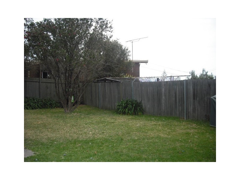 1/25 WYNDORA AVE, Freshwater NSW 2096