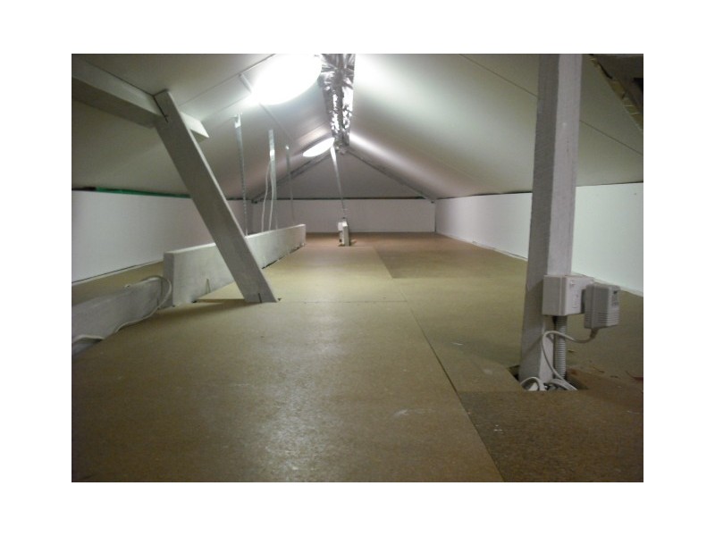 58 INGLEBAR AVENUE, Allambie Heights NSW 2100