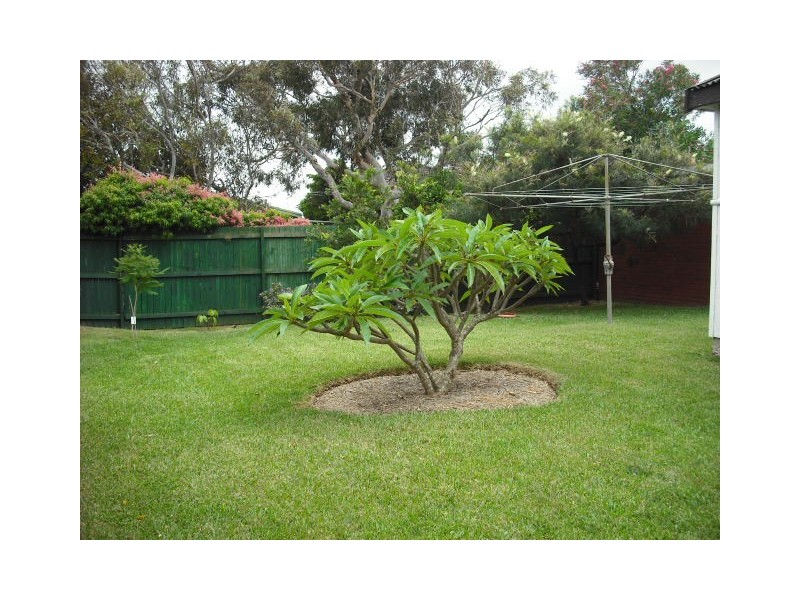 17 ADAMS STREET, Curl Curl NSW 2096