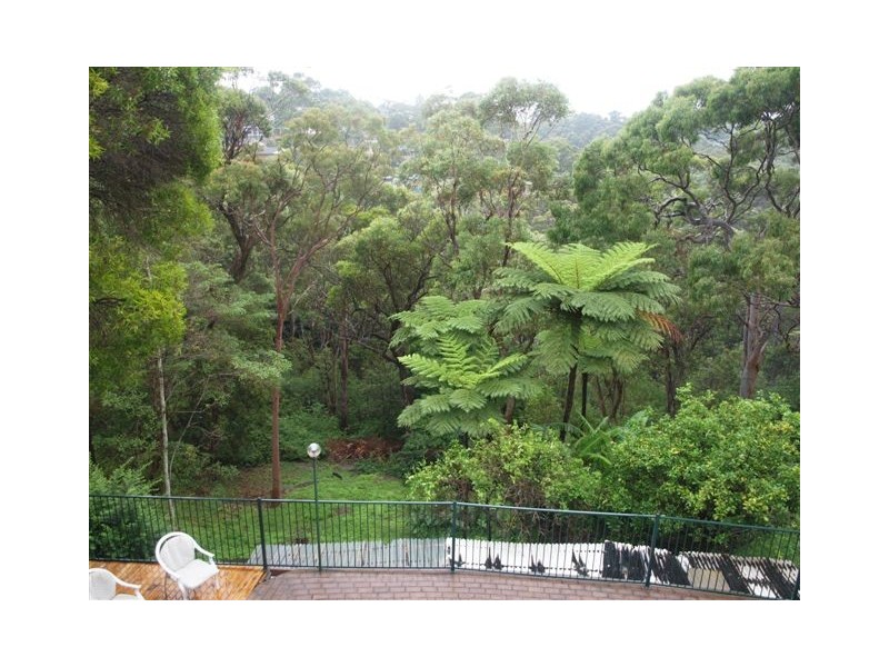 50 KOKODA CRESCENT, Beacon Hill NSW 2100