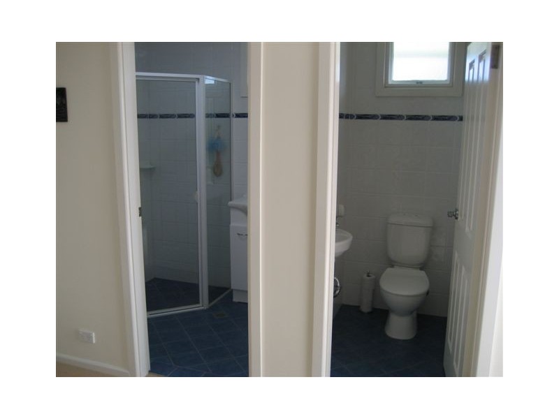 43 DAREEN STREET, Beacon Hill NSW 2100