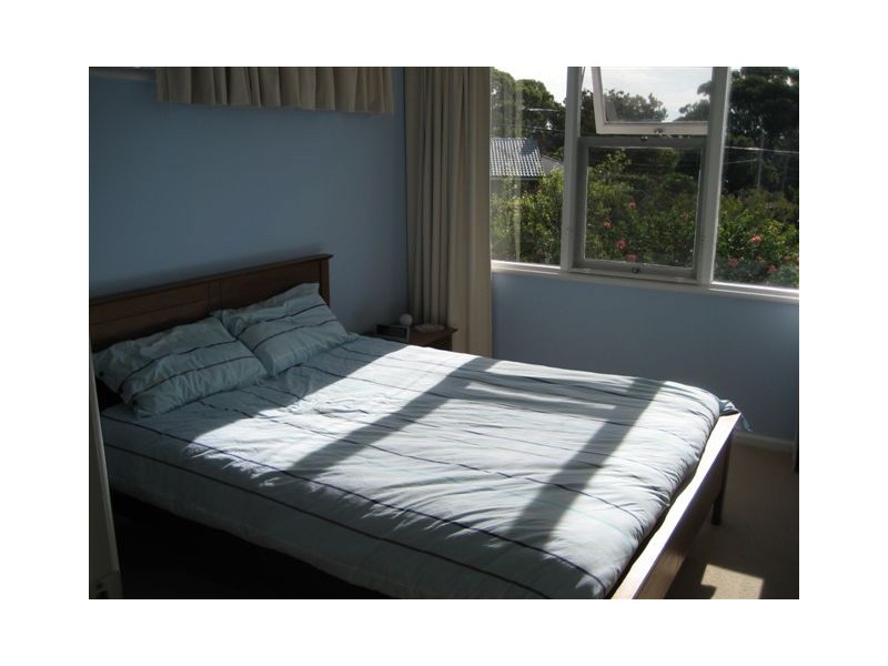 43 DAREEN STREET, Beacon Hill NSW 2100