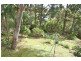 39 KIRRA ROAD, Allambie Heights NSW 2100