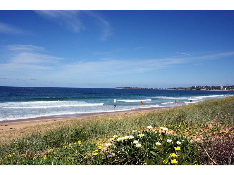 7 Malcolm Street, Narrabeen NSW 2101