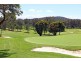 1/155-157  Darley Street West, Mona Vale NSW 2103