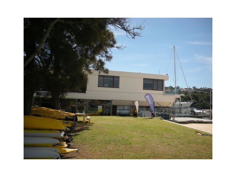 81 PARRIWI ROAD, Mosman NSW 2088