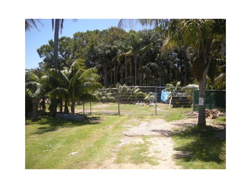 Terrey Hills NSW 2084