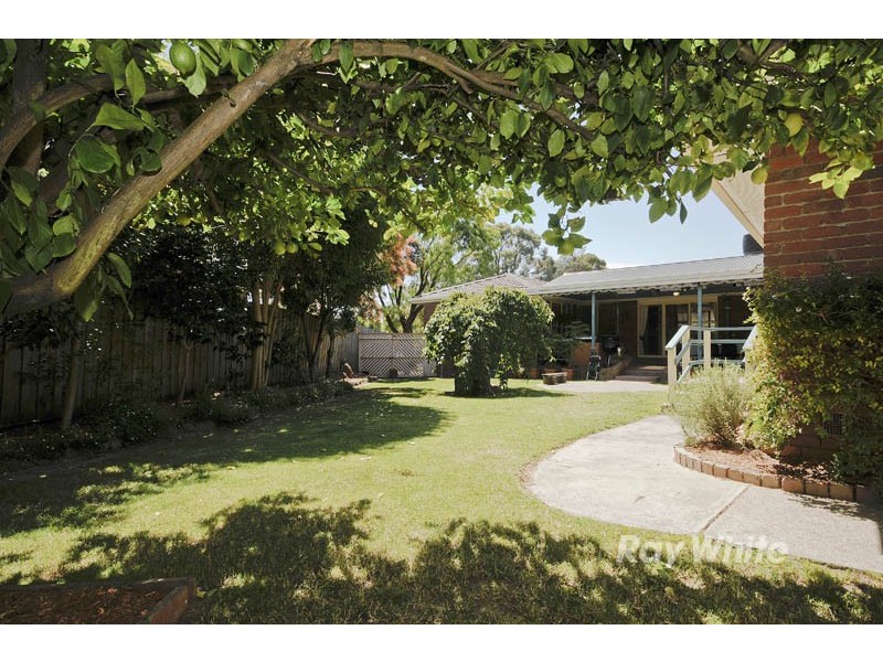 Wantirna VIC 3152