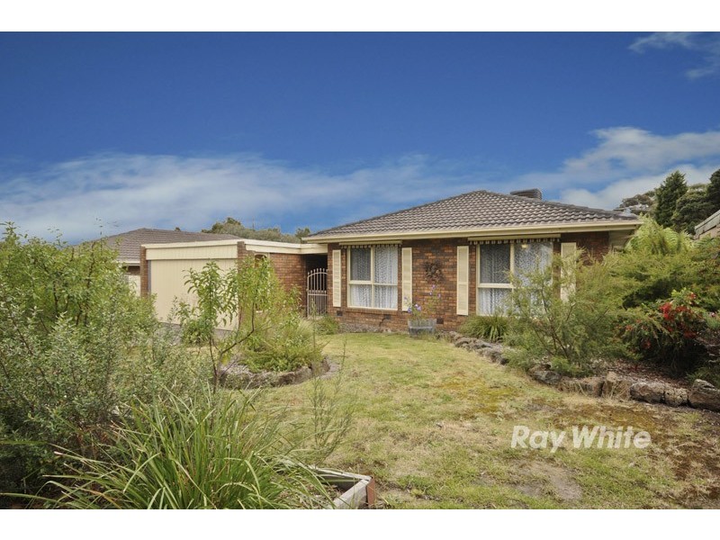 22 Birkenhead Avenue, Wantirna VIC 3152