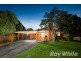 67 O’Connor Road, Knoxfield VIC 3180