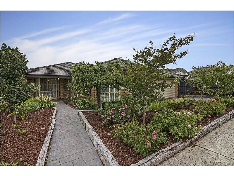 55 Pia Drive, Rowville VIC 3178